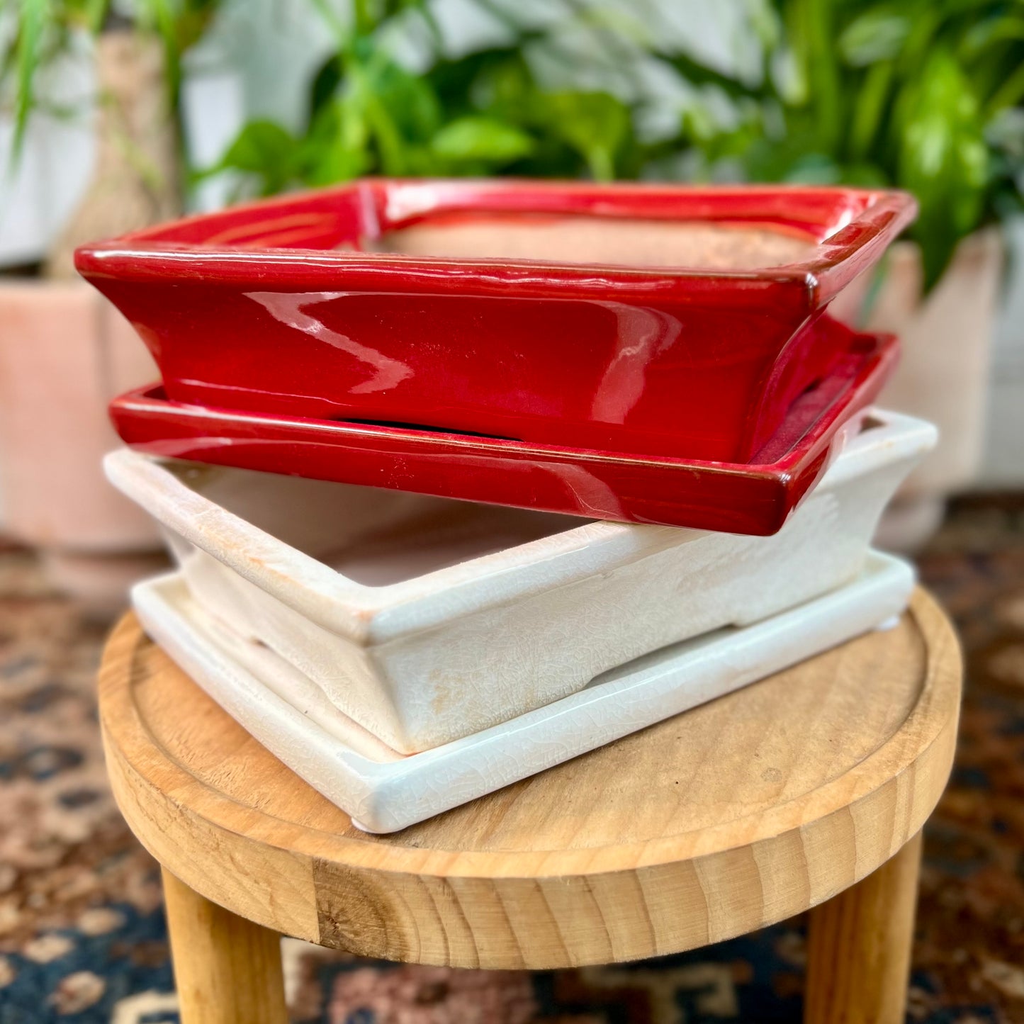 8" Bonsai Planter w/ Saucer