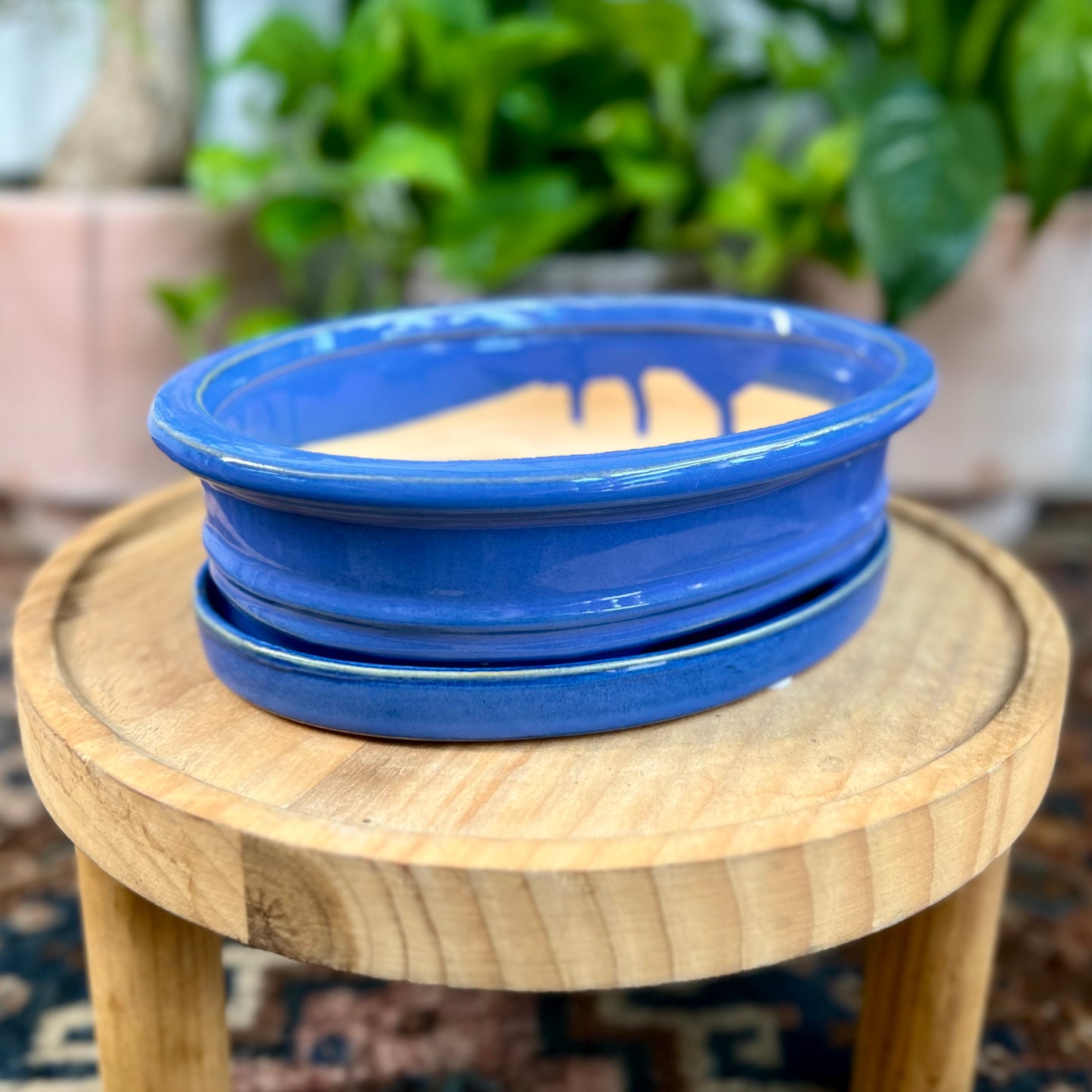 8" Bonsai Planter w/ Saucer