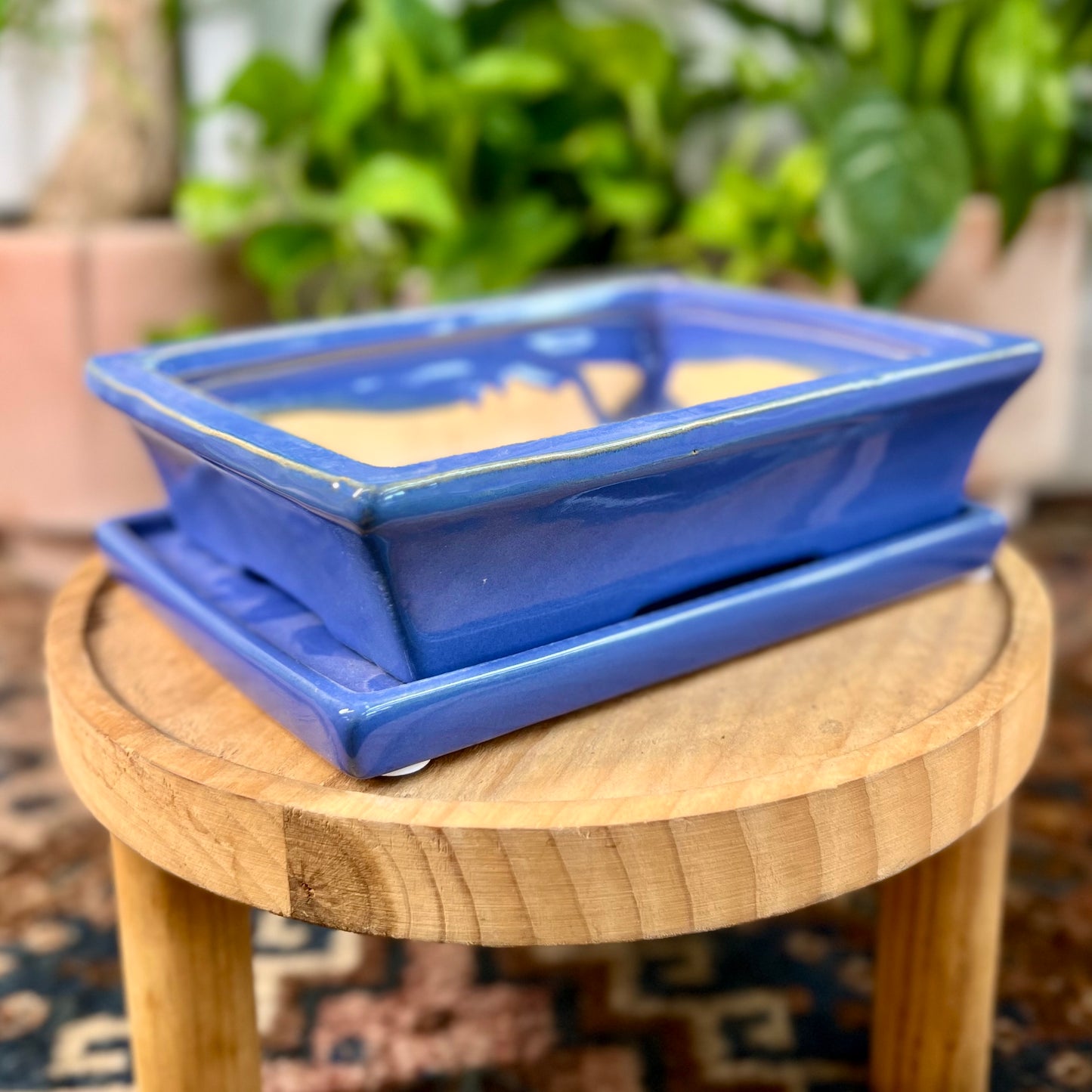 8" Bonsai Planter w/ Saucer
