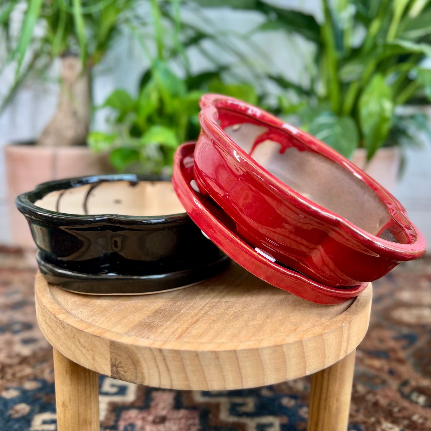 8" Bonsai Planter w/ Saucer