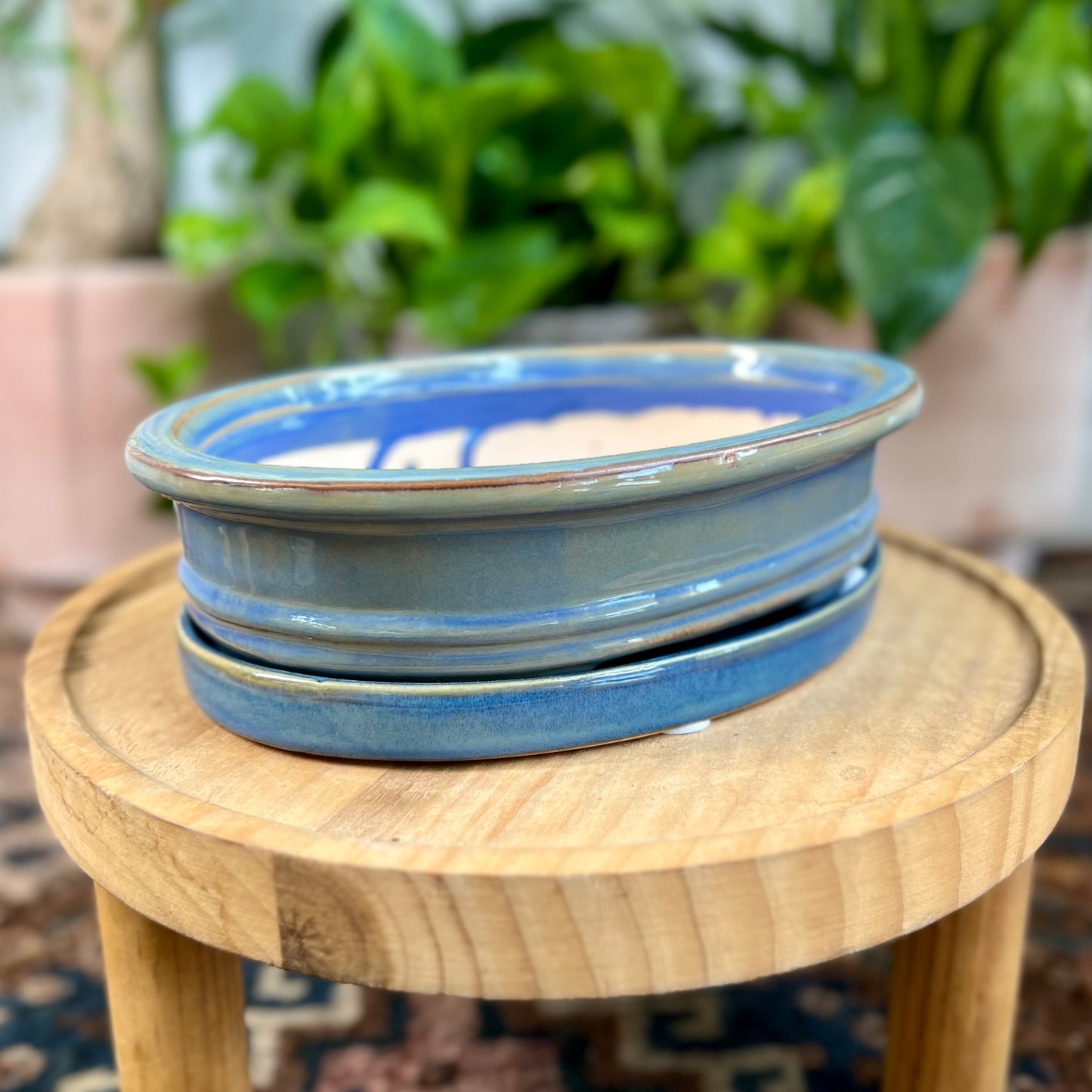 8" Bonsai Planter w/ Saucer