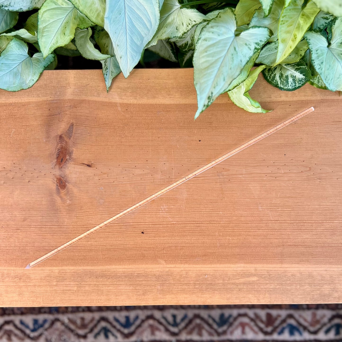 Clear Acrylic Orchid Stakes