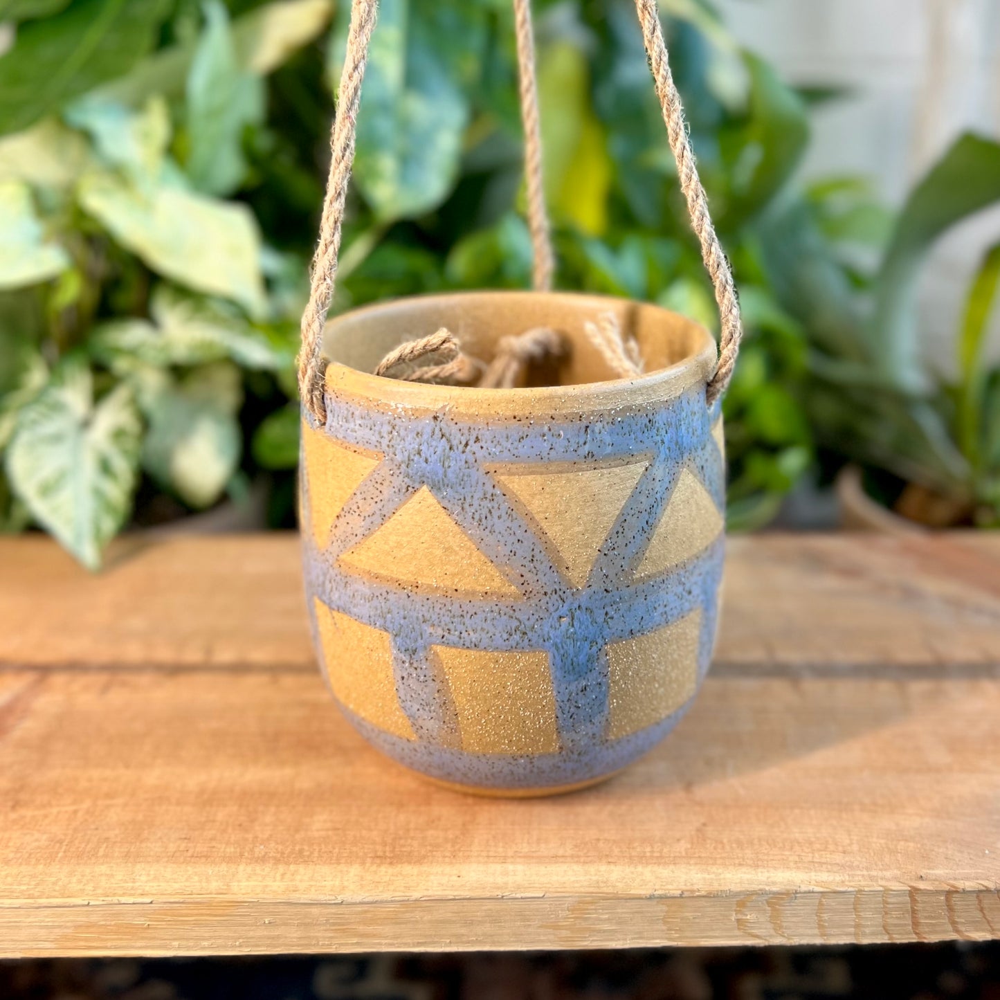 Enola Hanging Pot