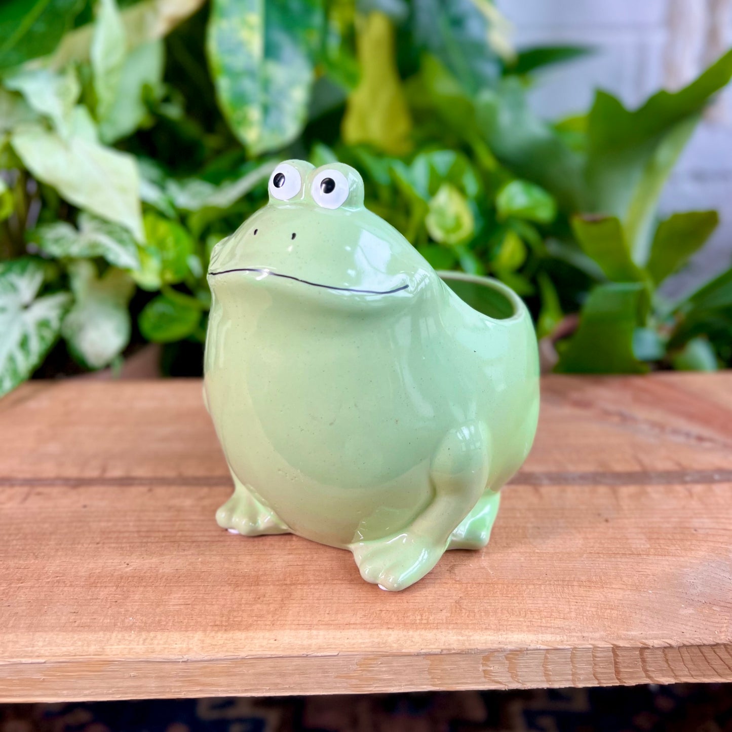 Froggie Planter