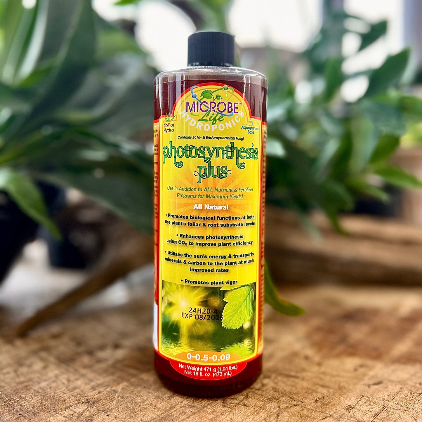 Eco Labs Photosynthesis Plus