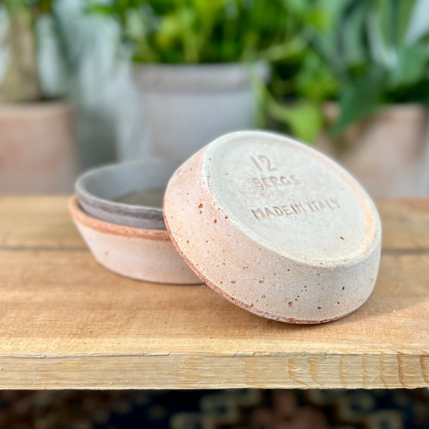 Bergs Standard Saucer