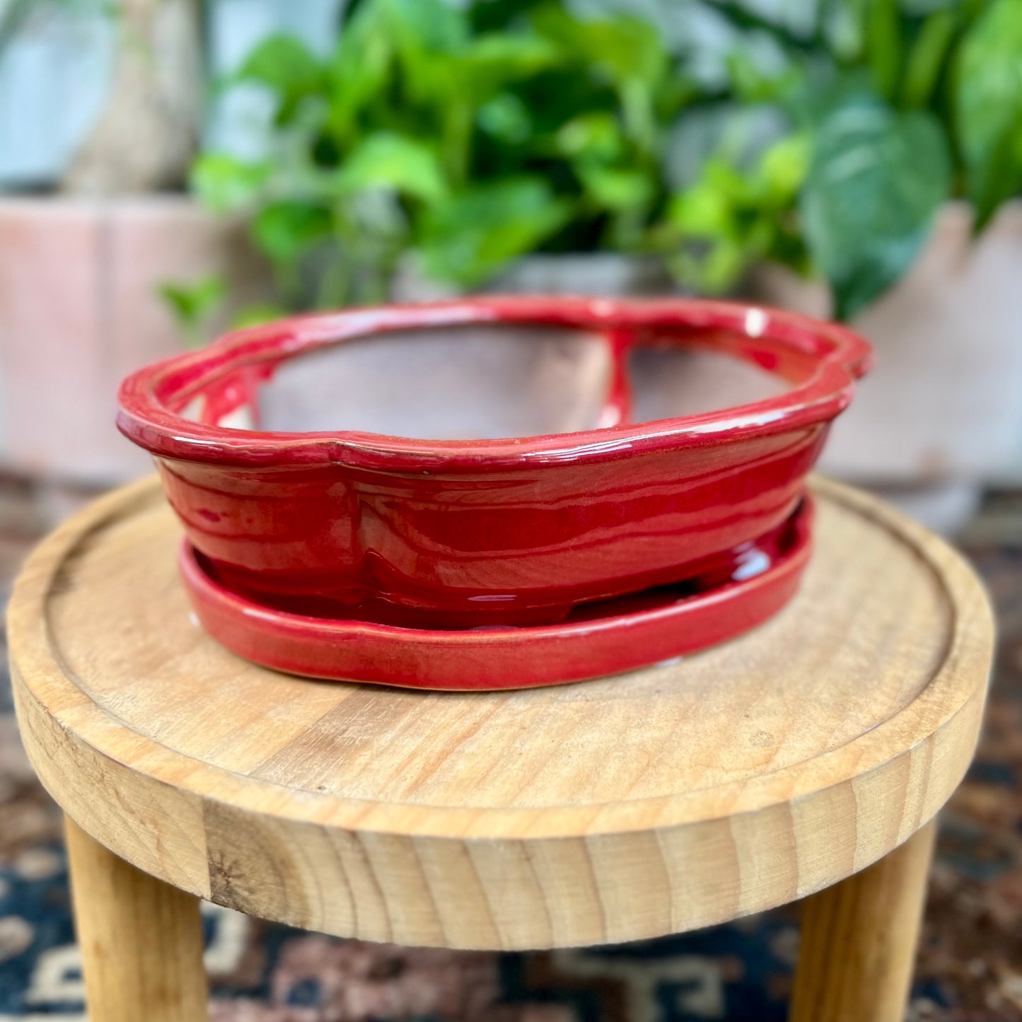 8" Bonsai Planter w/ Saucer