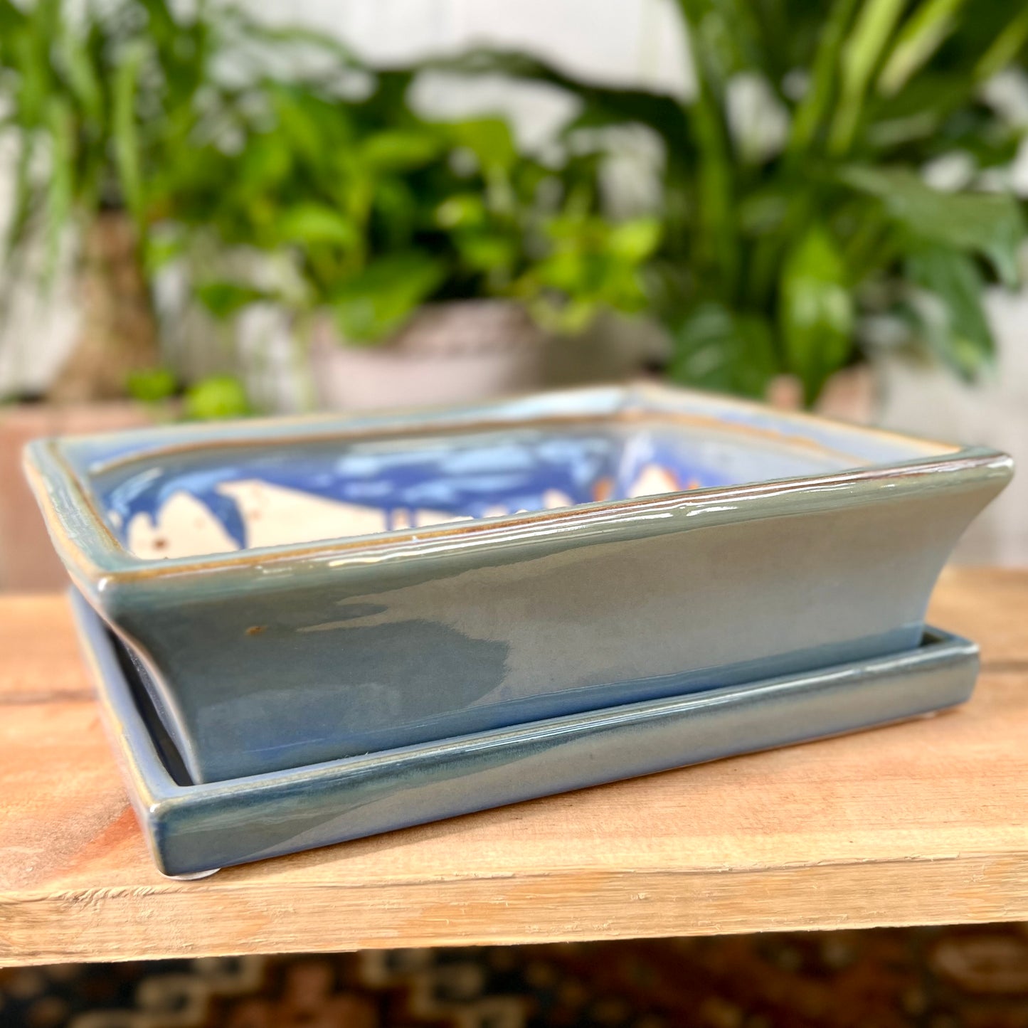 10" Bonsai Planter w/ Saucer