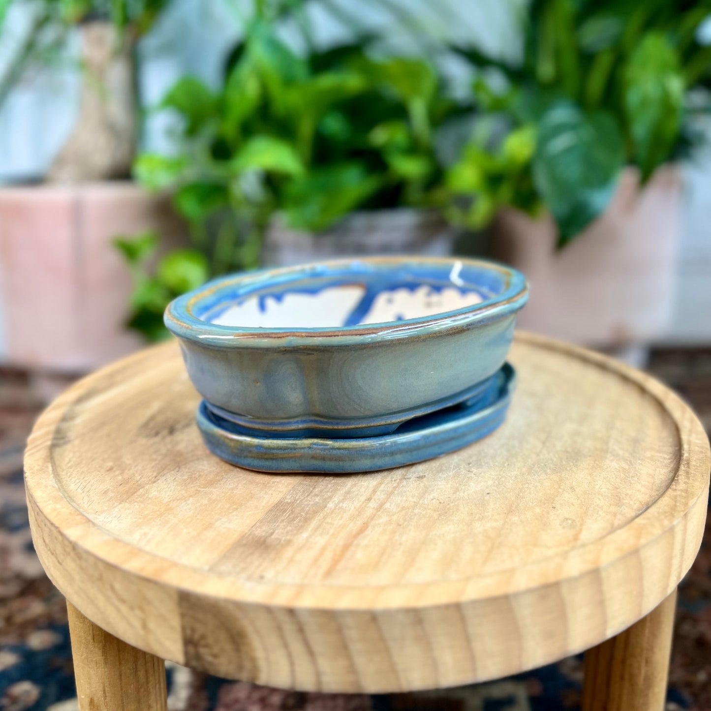 6" Bonsai Planter w/ Sacuer