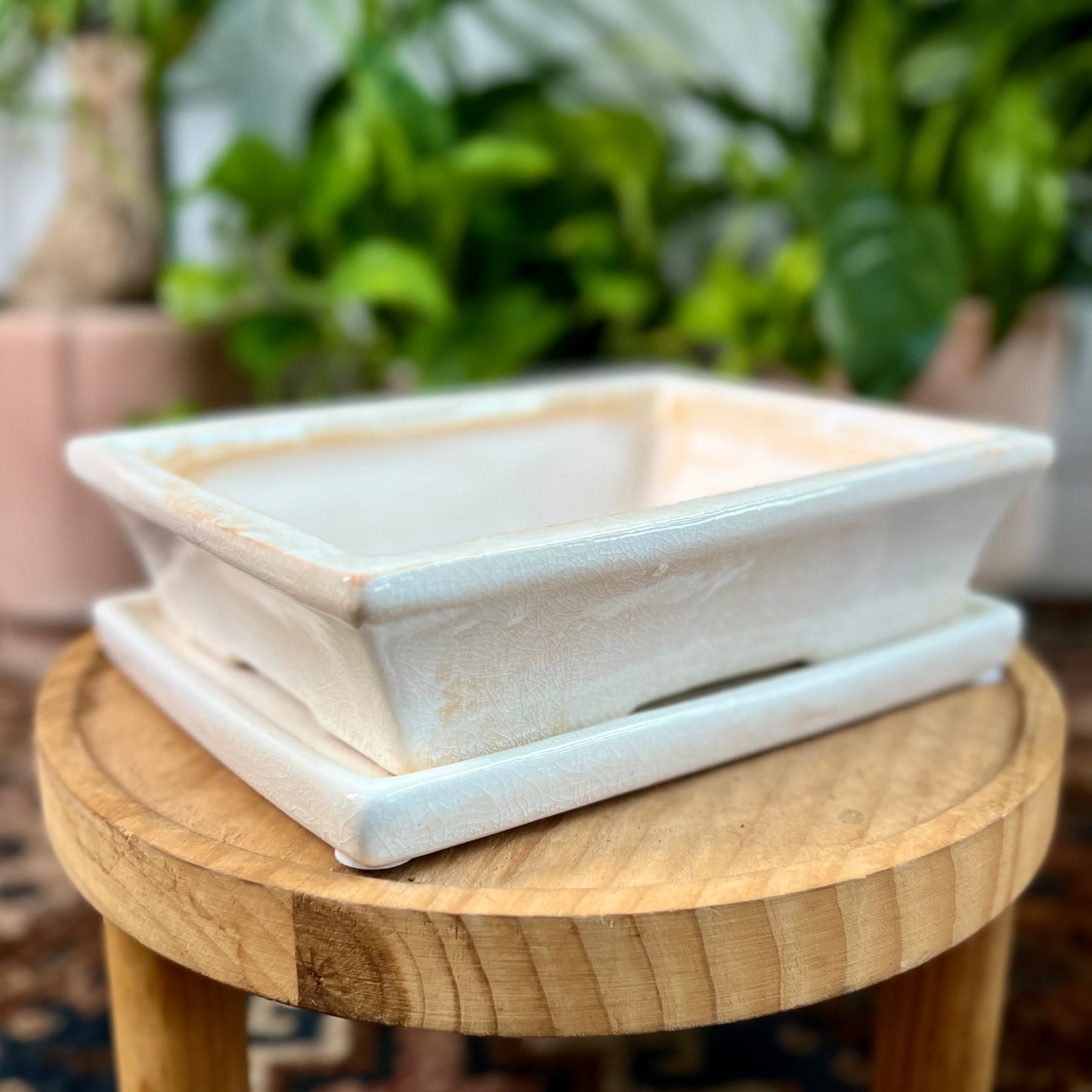8" Bonsai Planter w/ Saucer