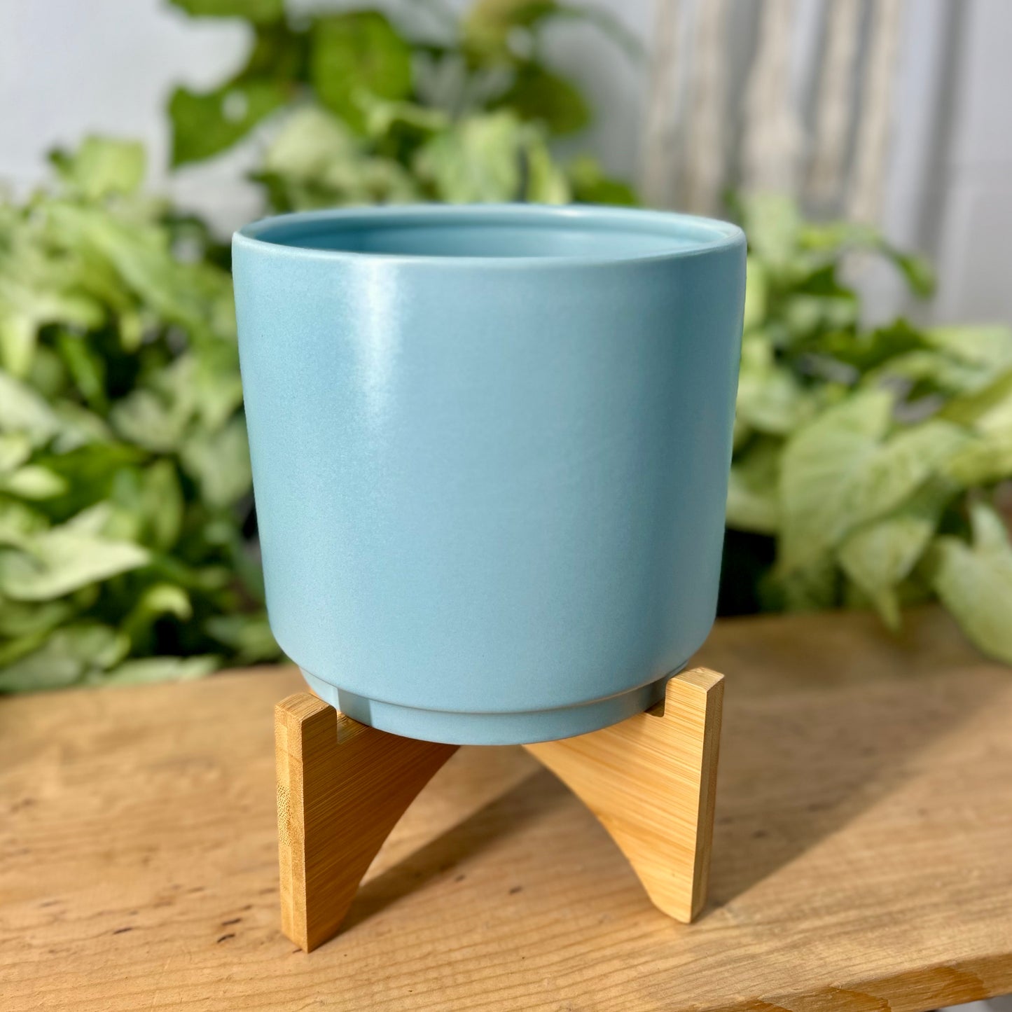 Cylinder Pot w/ Stand