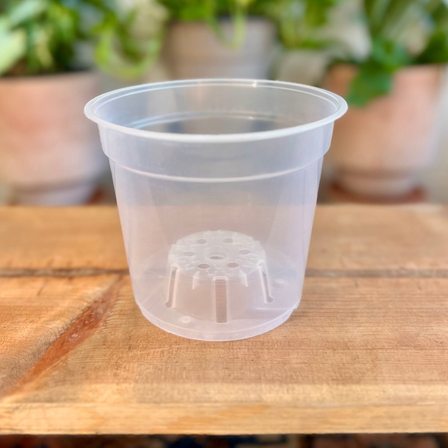 Heavy Duty Clear Nursery Pot