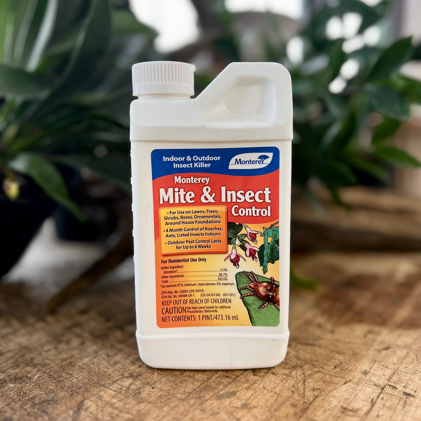 Monterey Mite & Insect Control