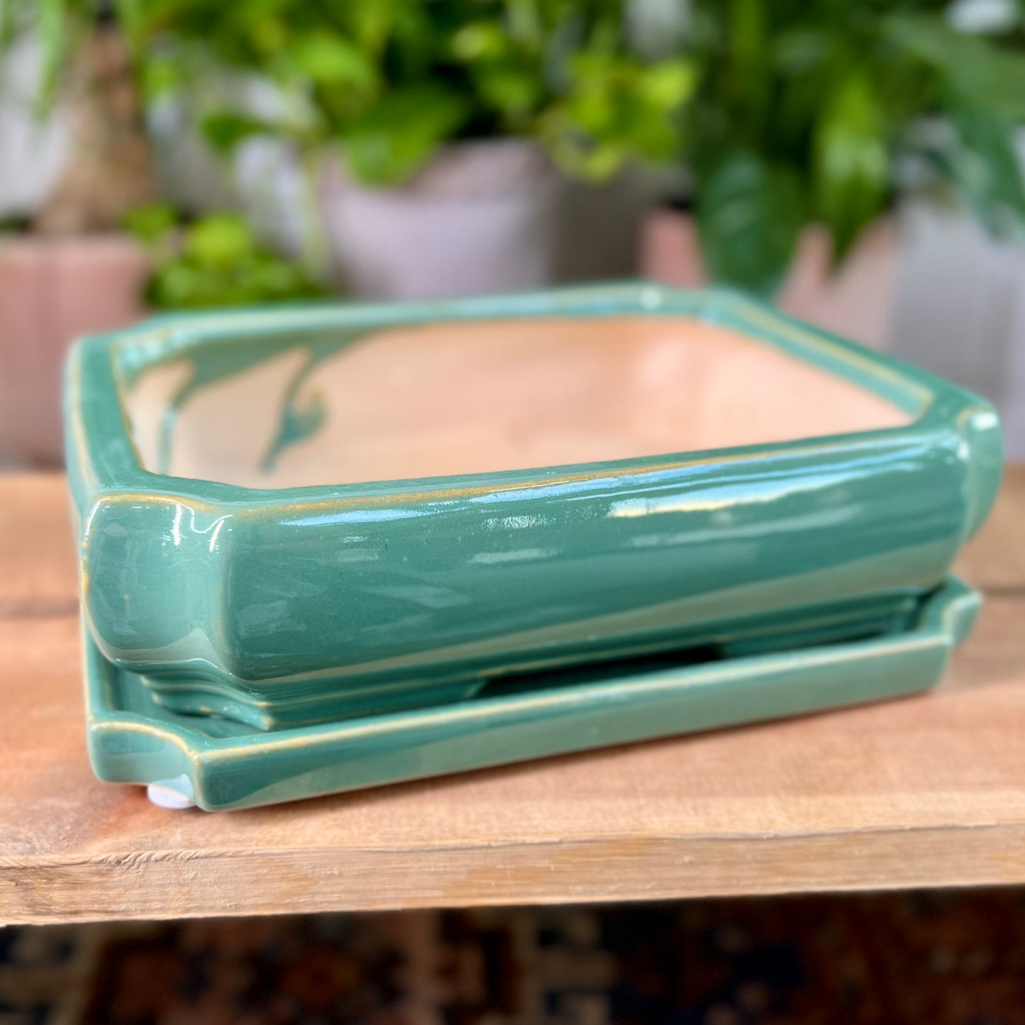 10" Bonsai Planter w/ Saucer