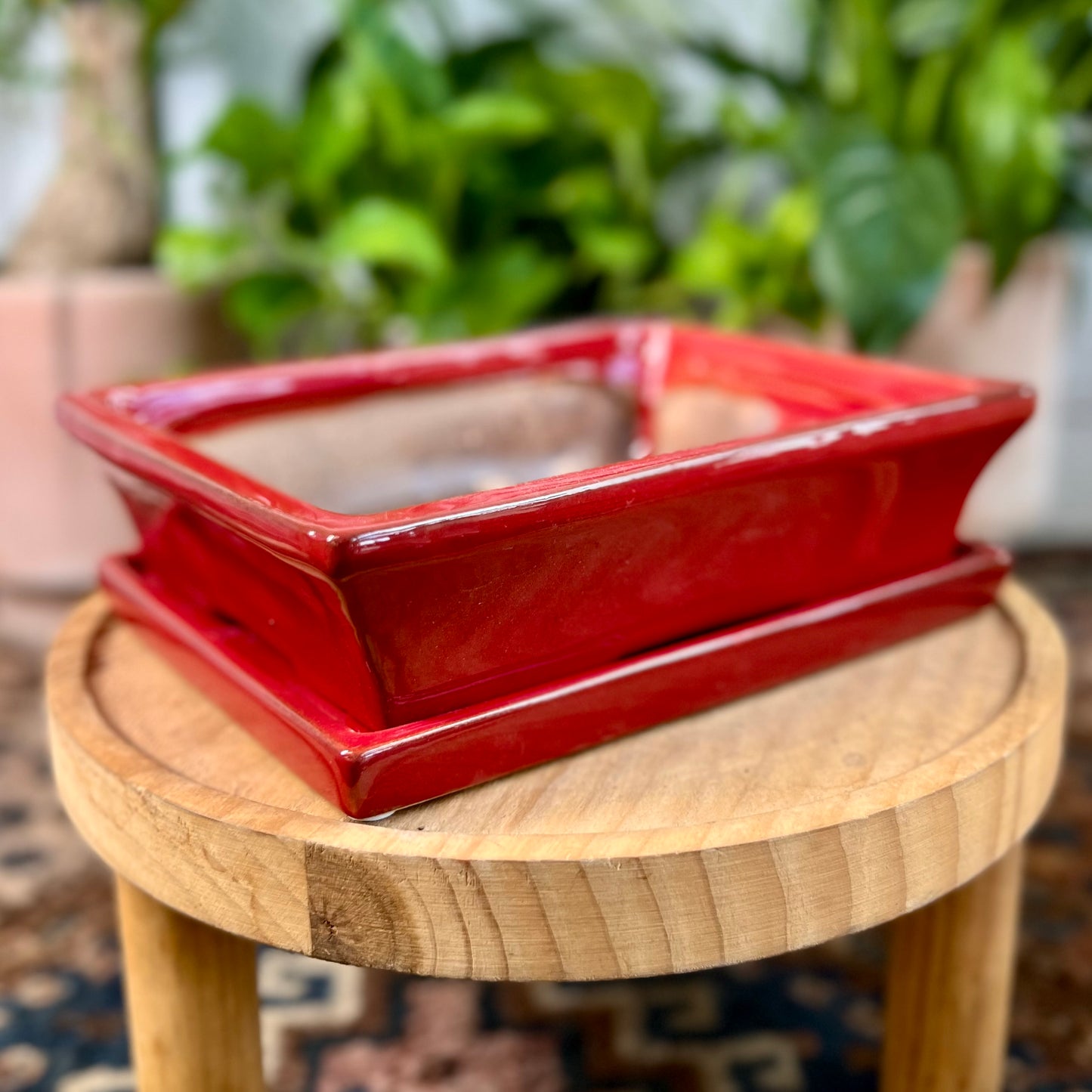 8" Bonsai Planter w/ Saucer