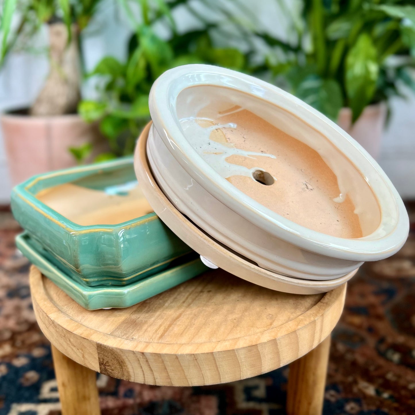 8" Bonsai Planter w/ Saucer