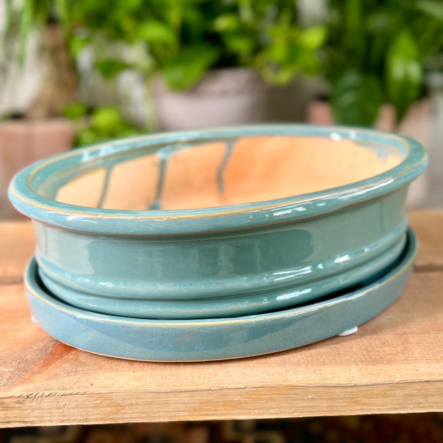 10" Bonsai Planter w/ Saucer