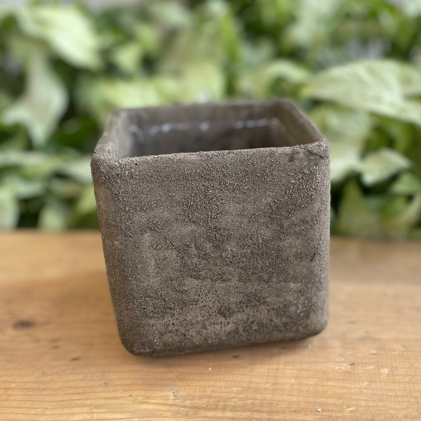 Volcanic Square Pot