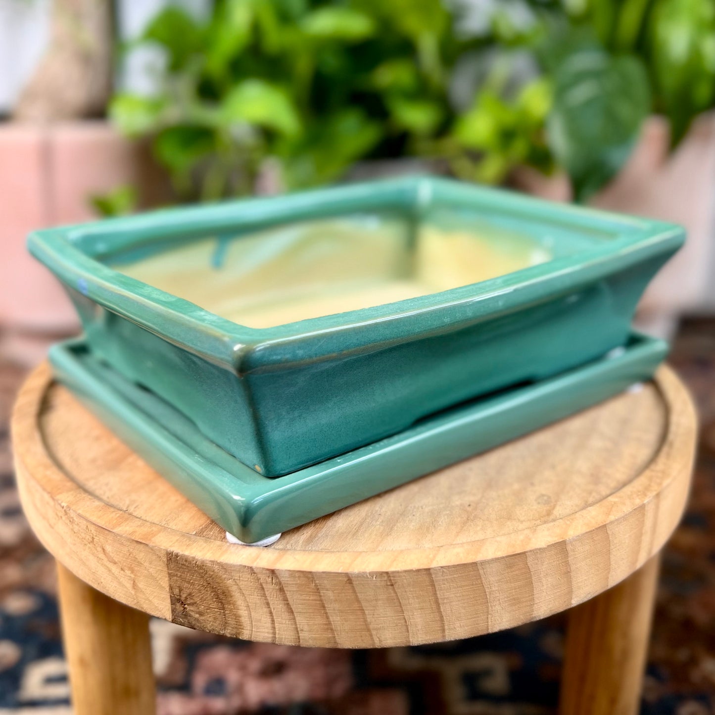 8" Bonsai Planter w/ Saucer