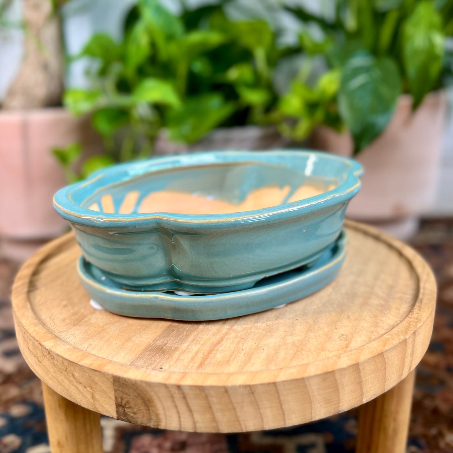 8" Bonsai Planter w/ Saucer