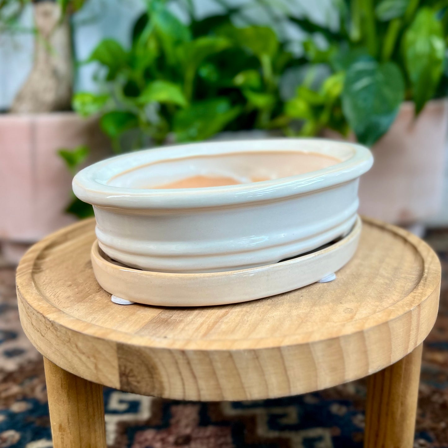 8" Bonsai Planter w/ Saucer