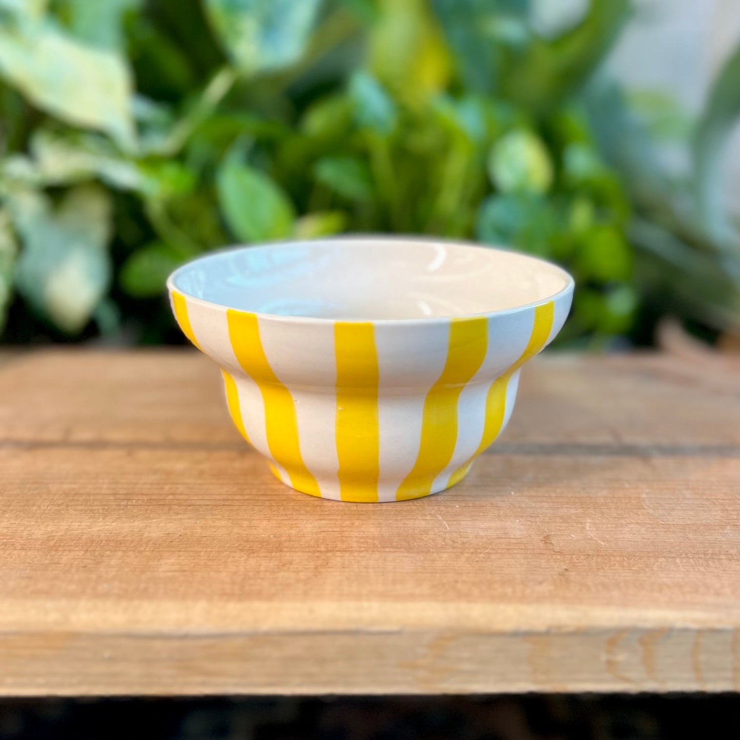 Striped Bowl Pot