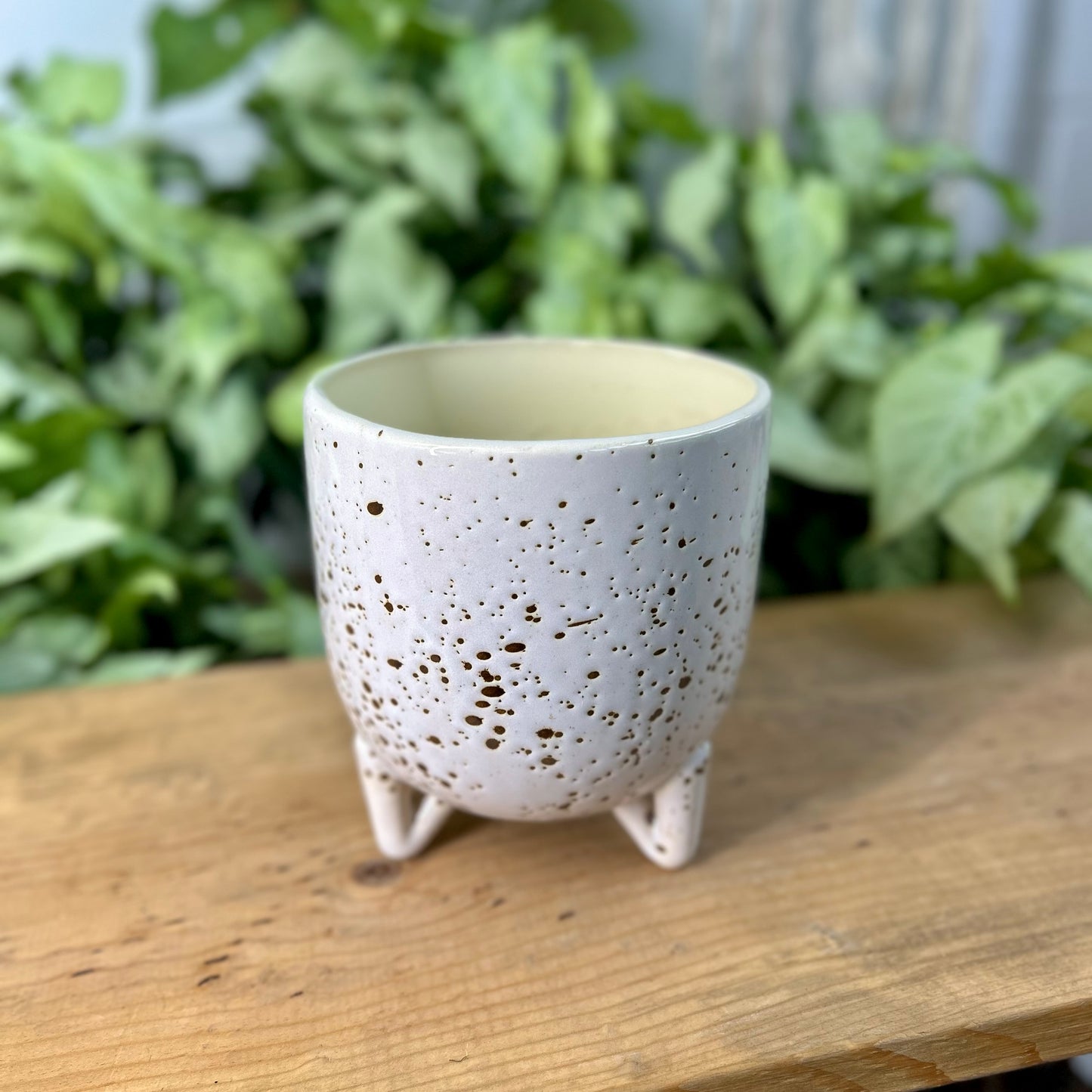 Freckled Footed Pot
