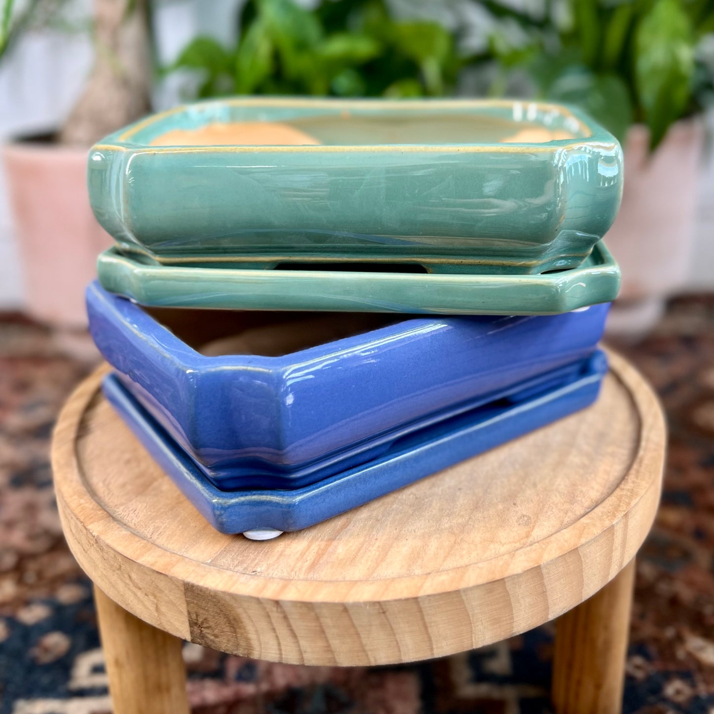 8" Bonsai Planter w/ Saucer