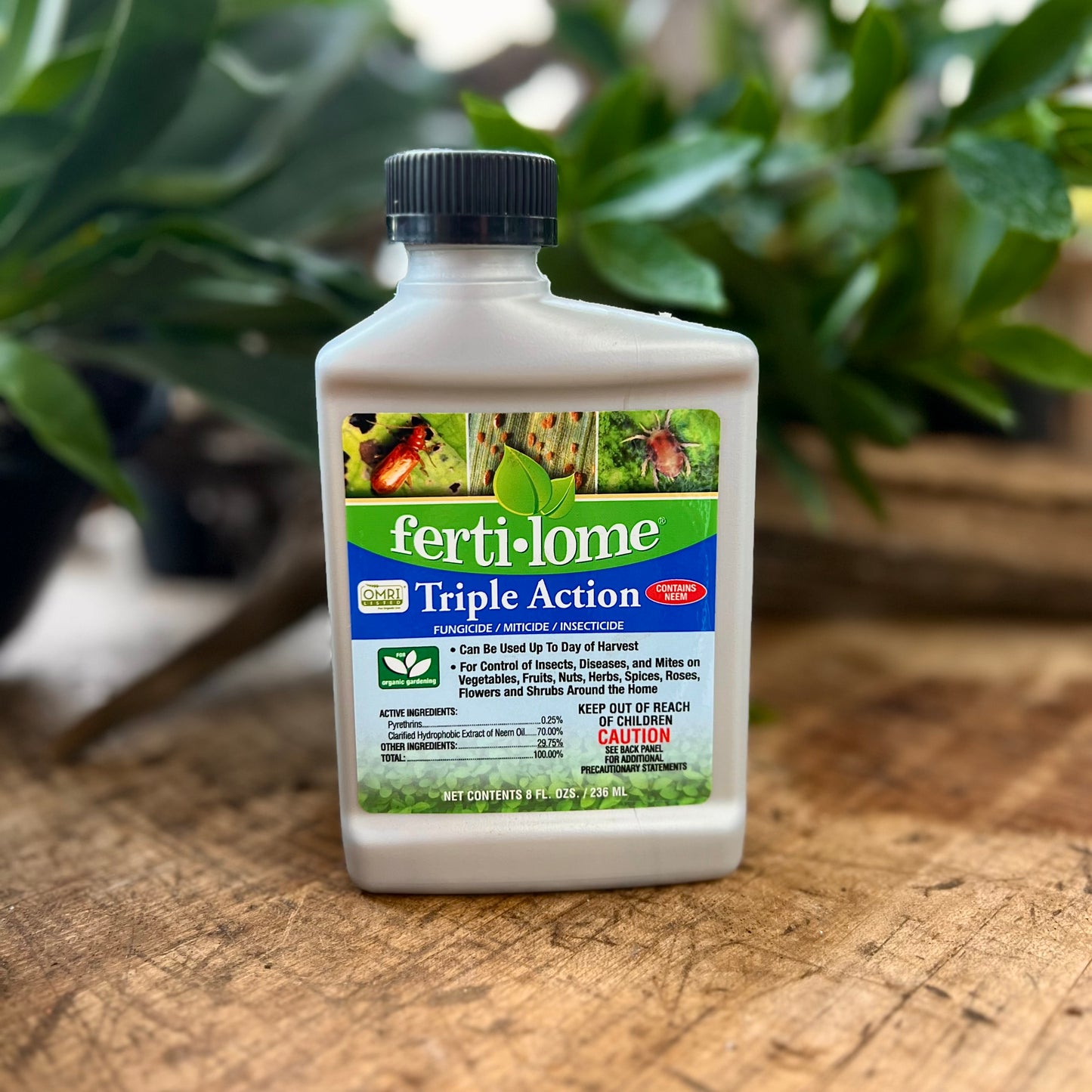 Fertilome Triple Action