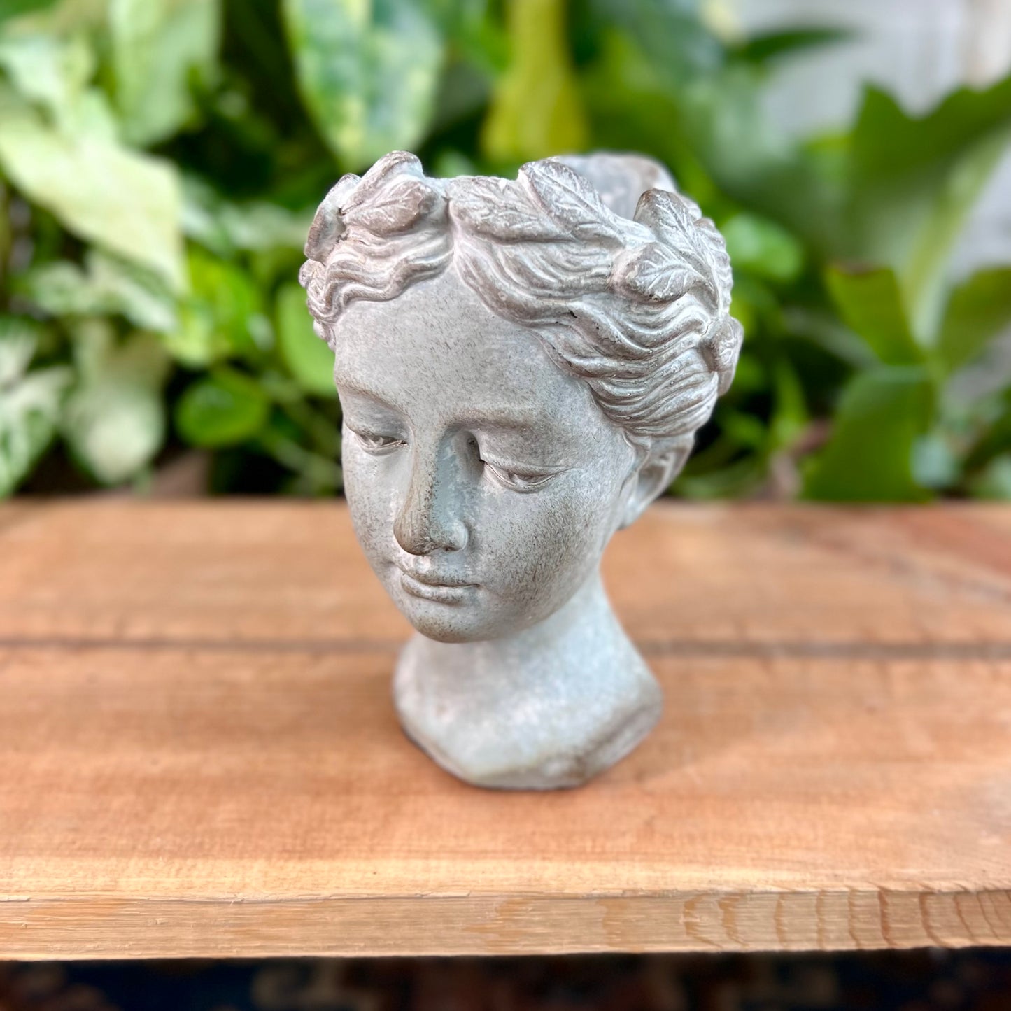 Concrete Head Planter