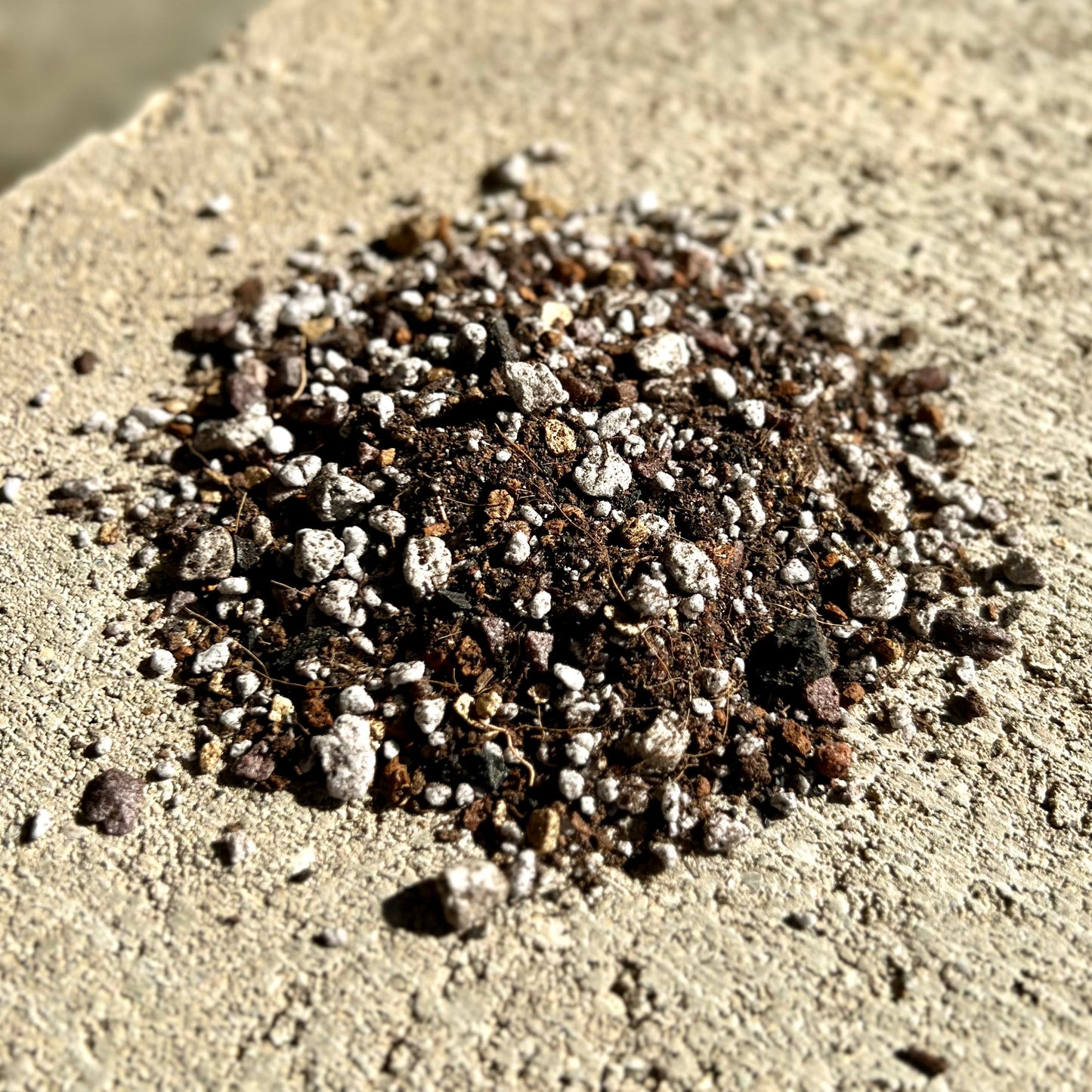 LeafLabs Cactus and Succulent Mix - All Purpose
