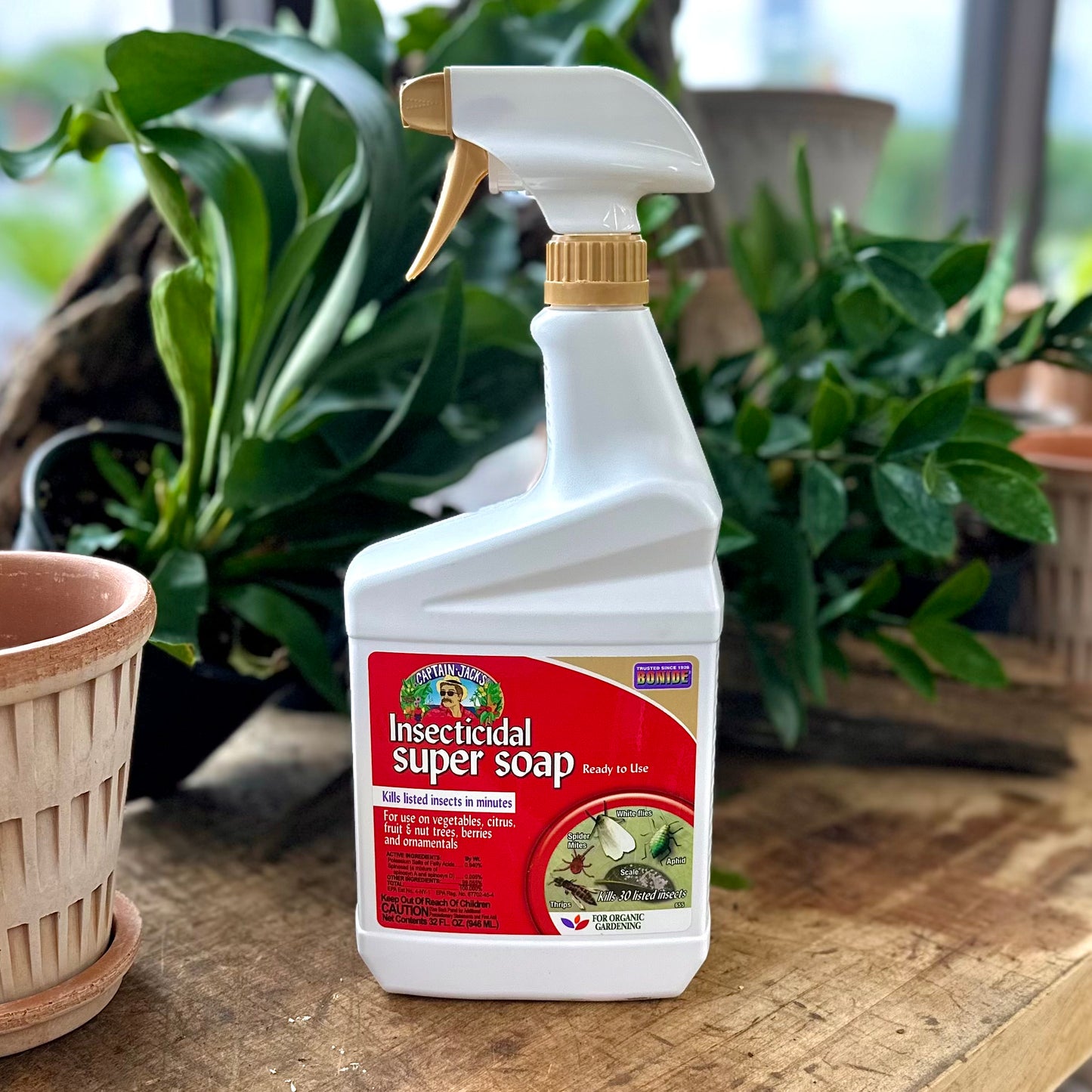 Insecticidal Super Soap