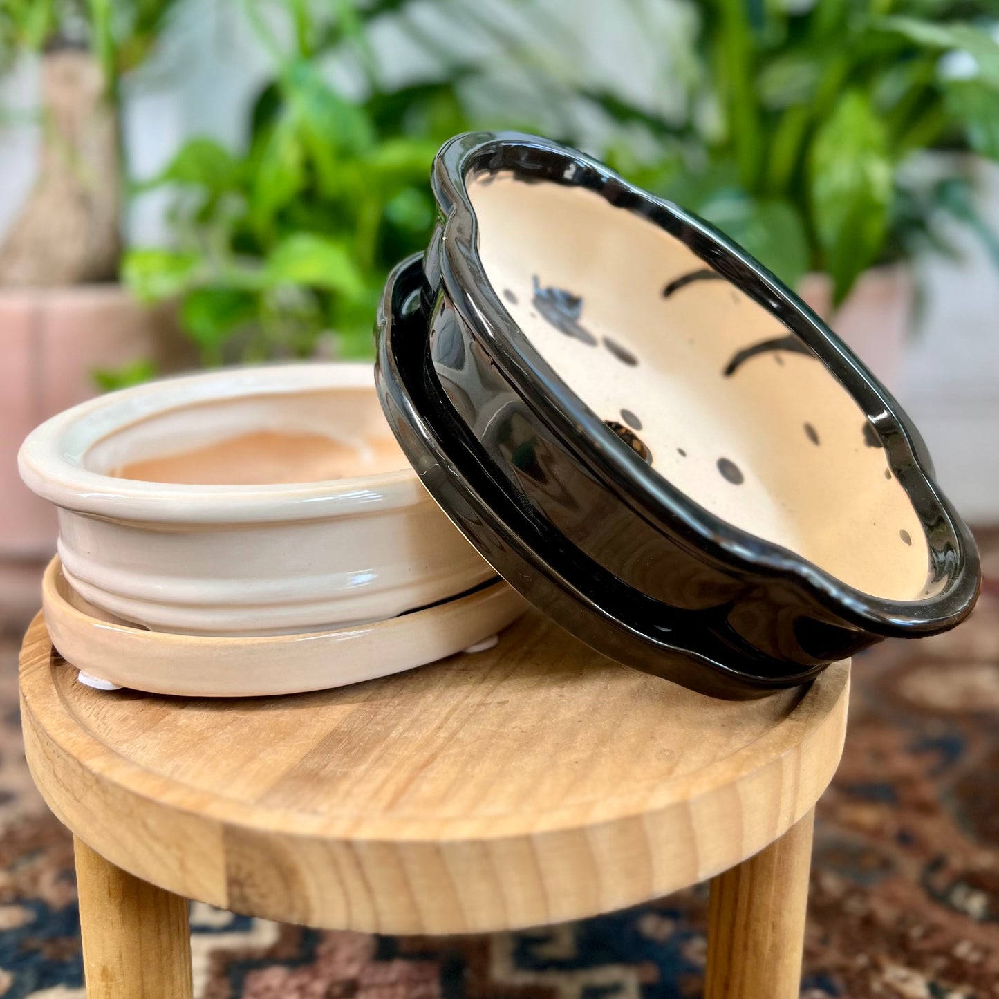 8" Bonsai Planter w/ Saucer