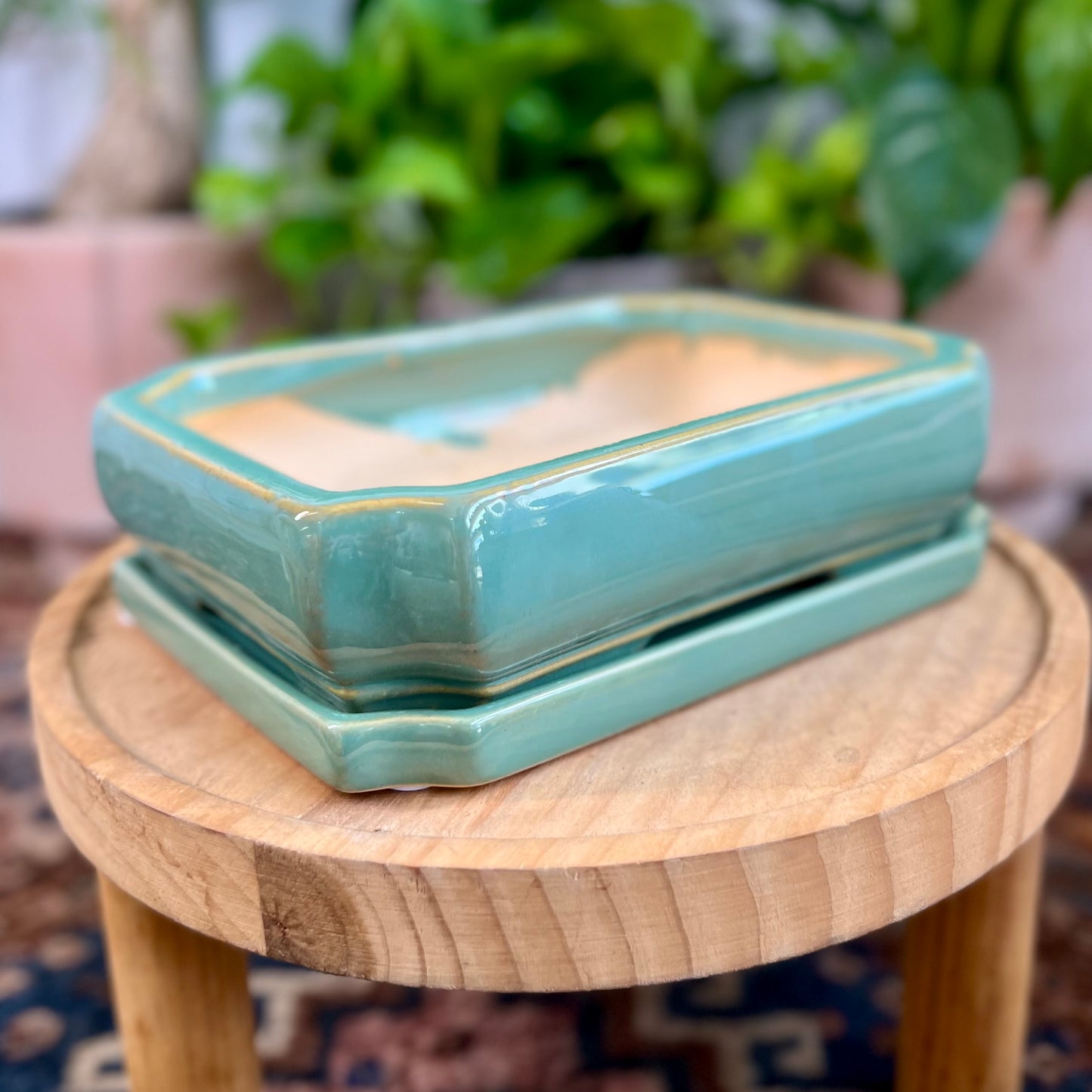 8" Bonsai Planter w/ Saucer