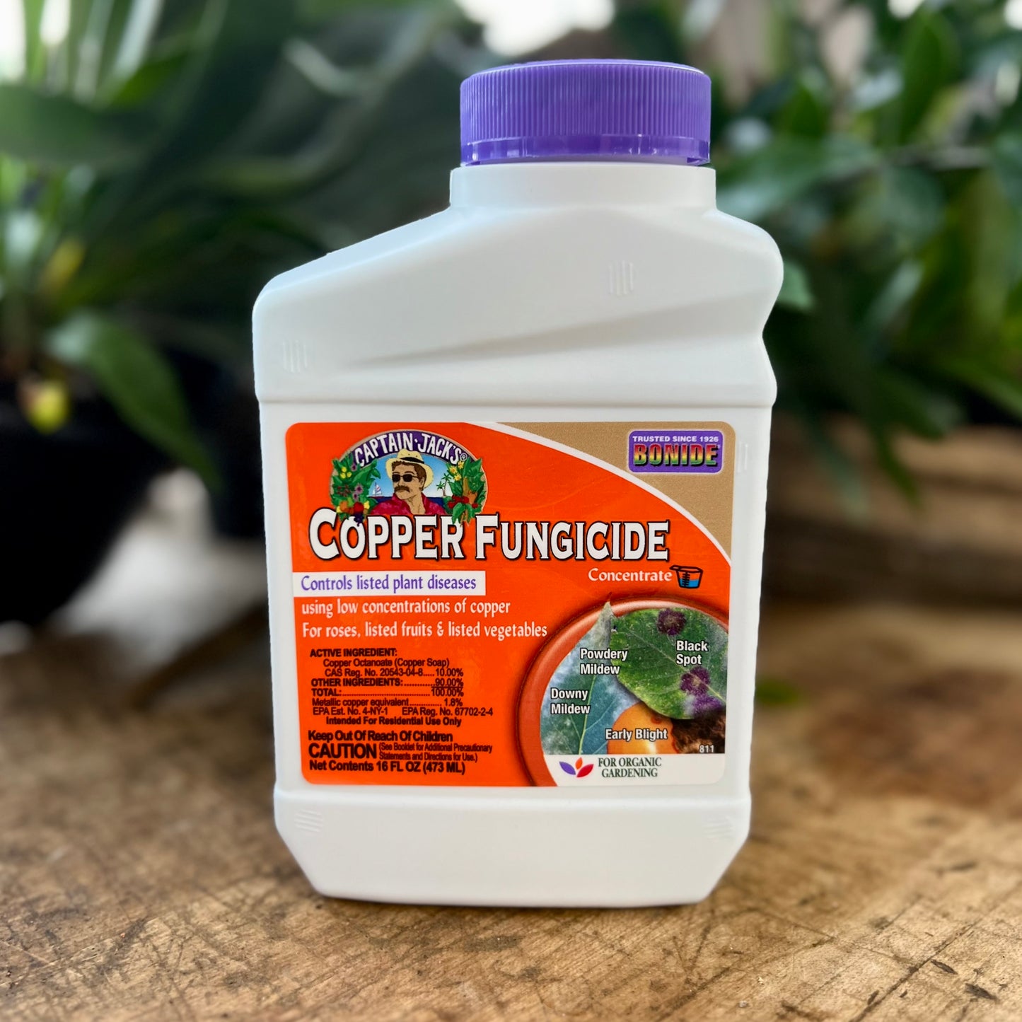 Bonide Copper Fungicide