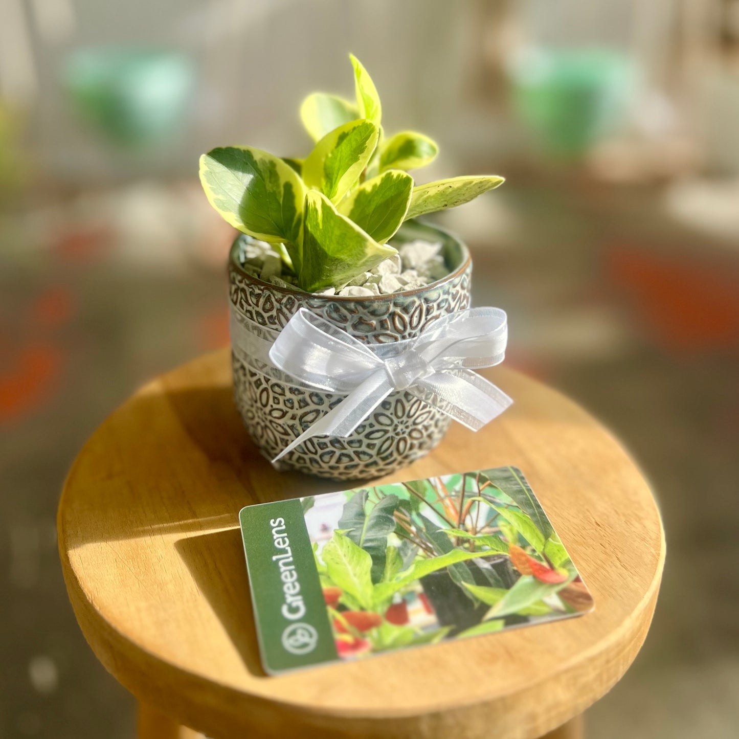 Gift Card Combo #1B (local only)