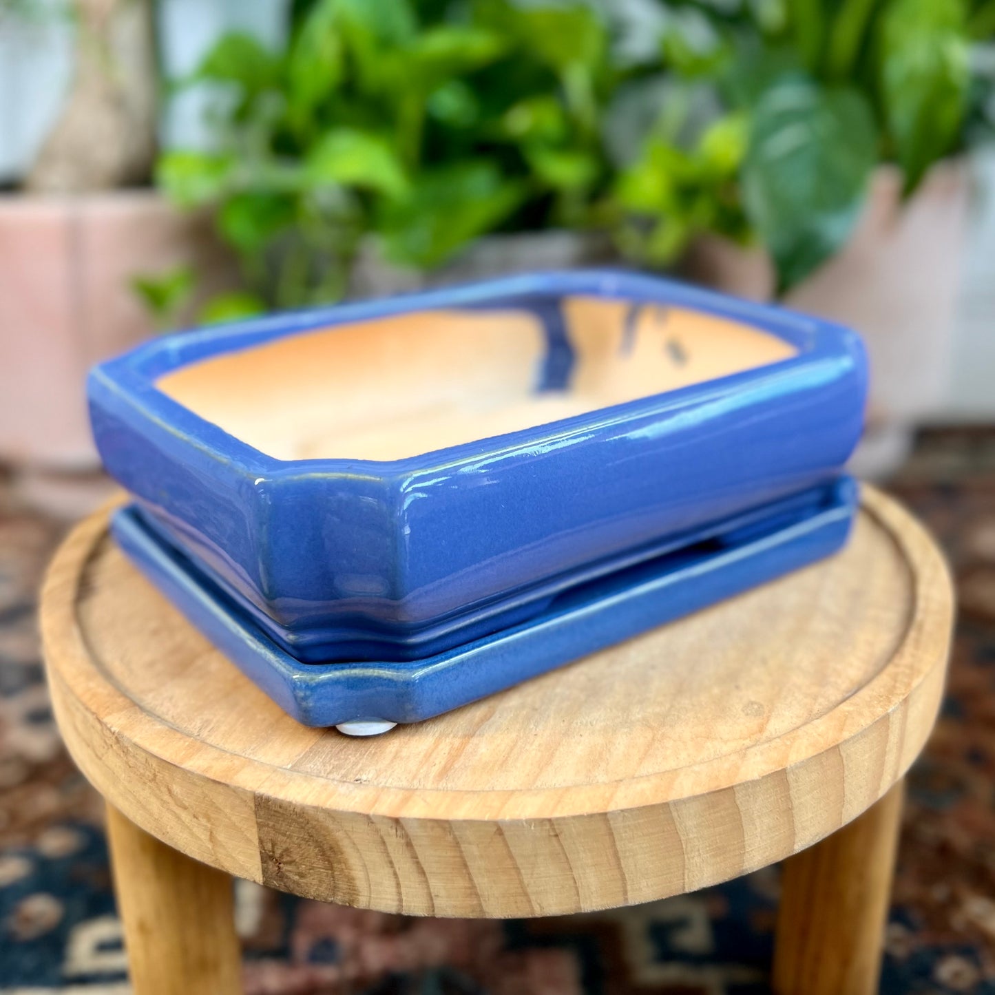 8" Bonsai Planter w/ Saucer