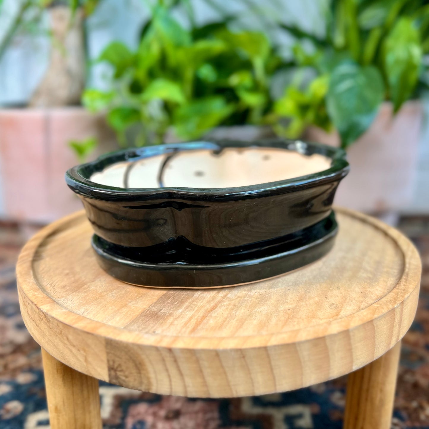 8" Bonsai Planter w/ Saucer
