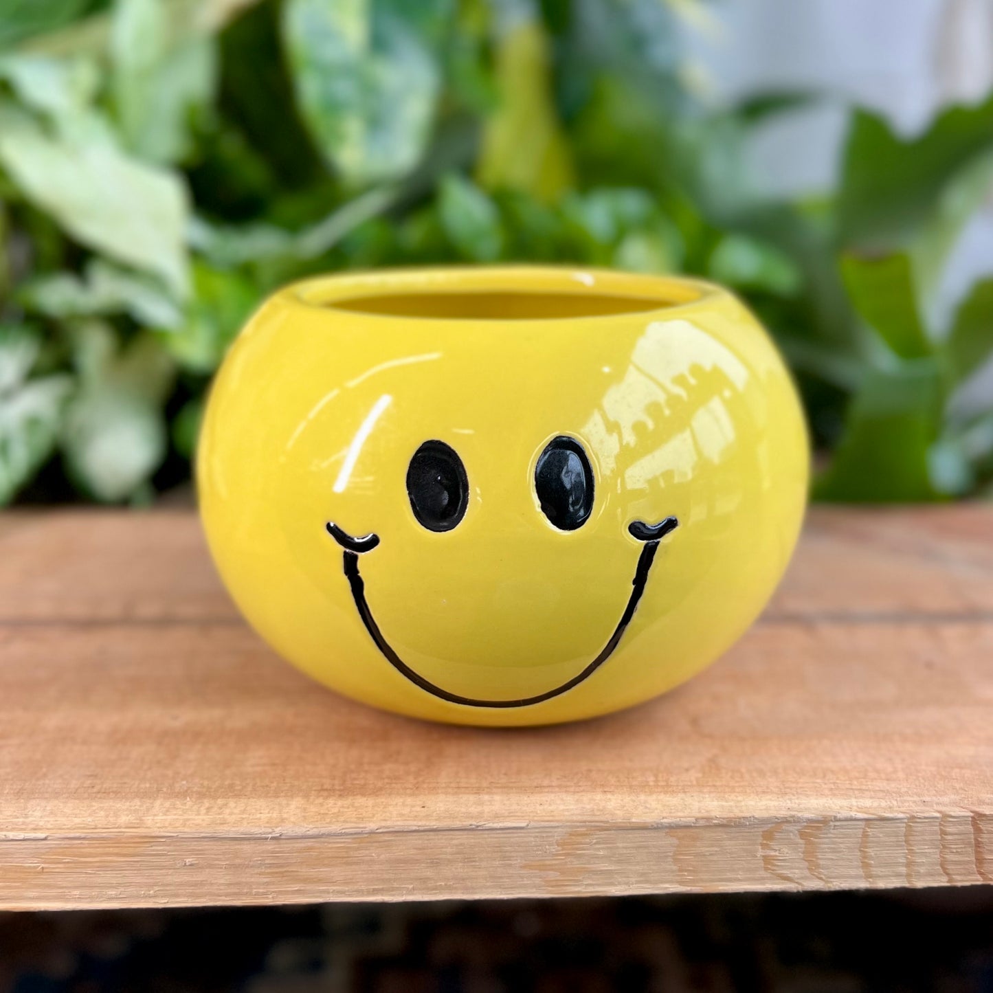 Smiley Face Pot