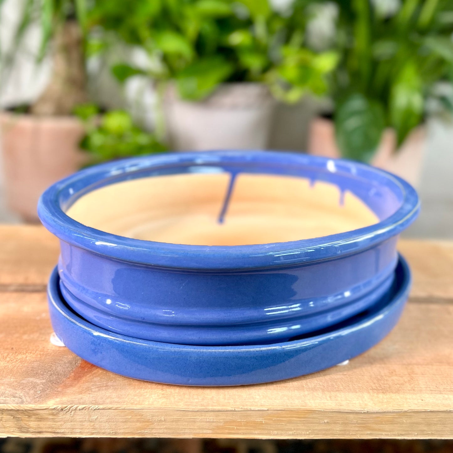 10" Bonsai Planter w/ Saucer