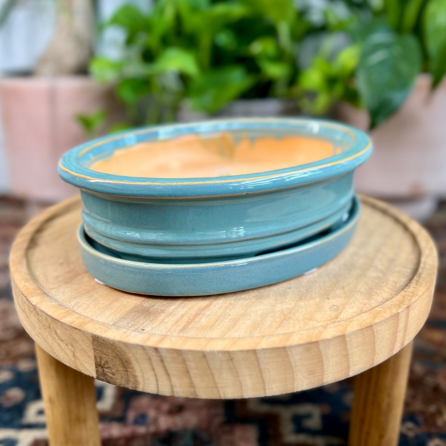 8" Bonsai Planter w/ Saucer