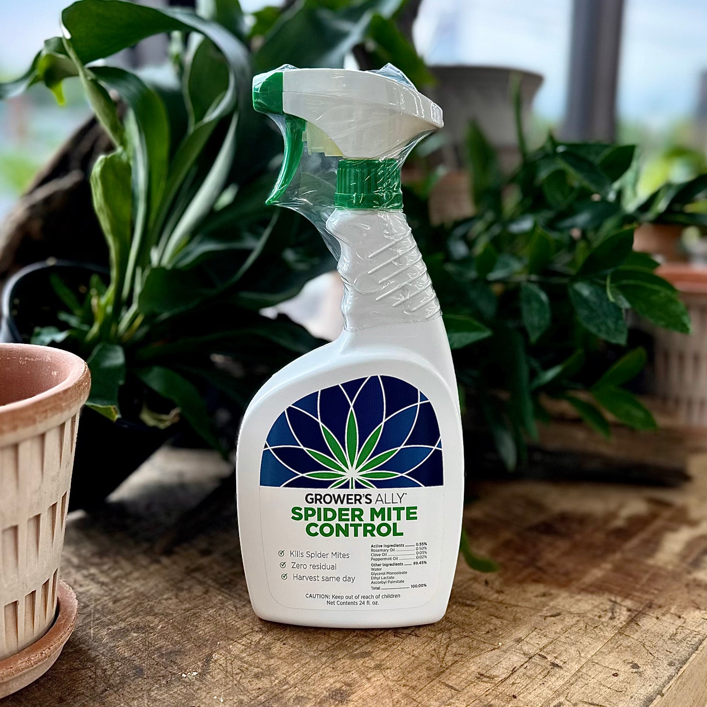 Grower's Ally Spider Mite Control