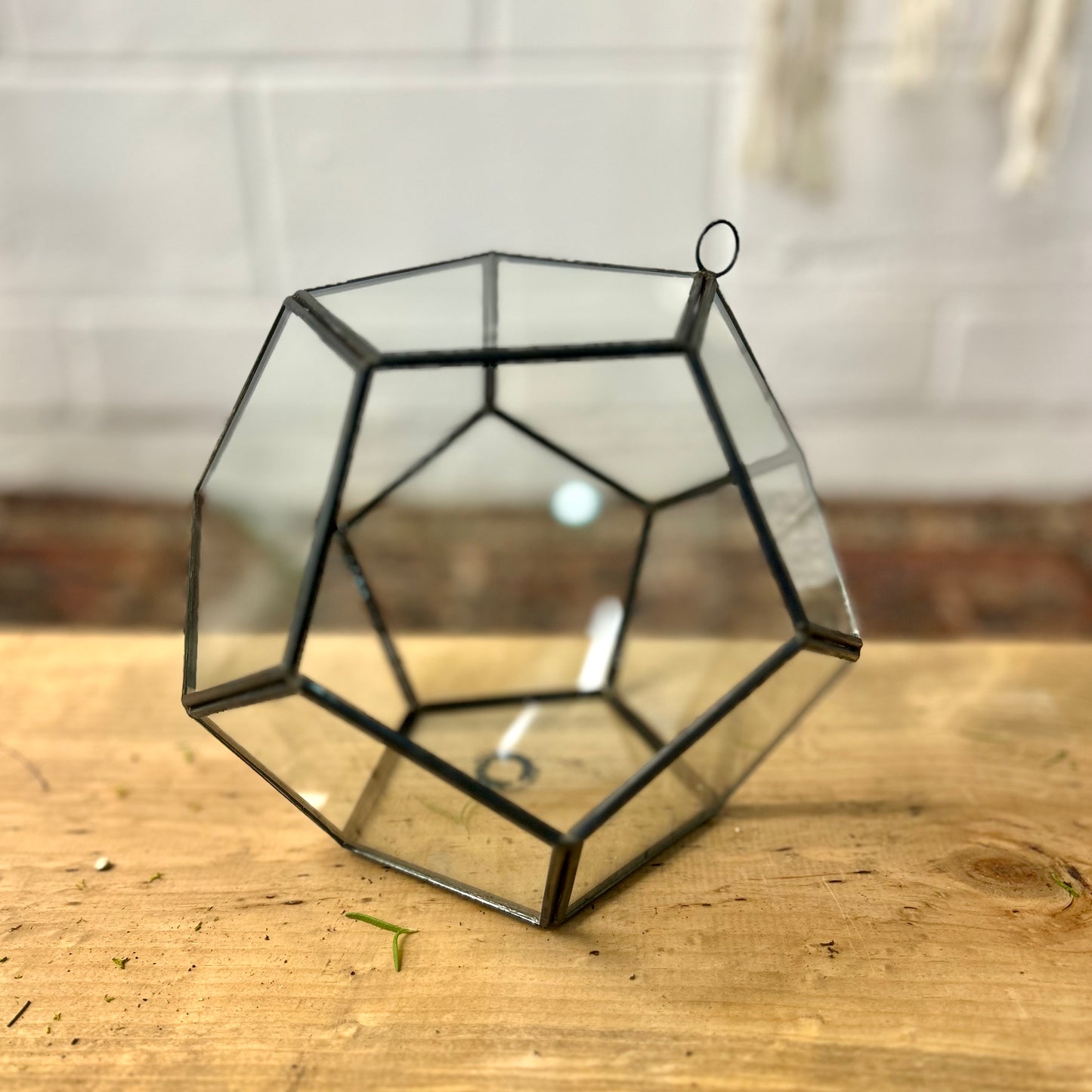 Hanging Pentagon Terrarium
