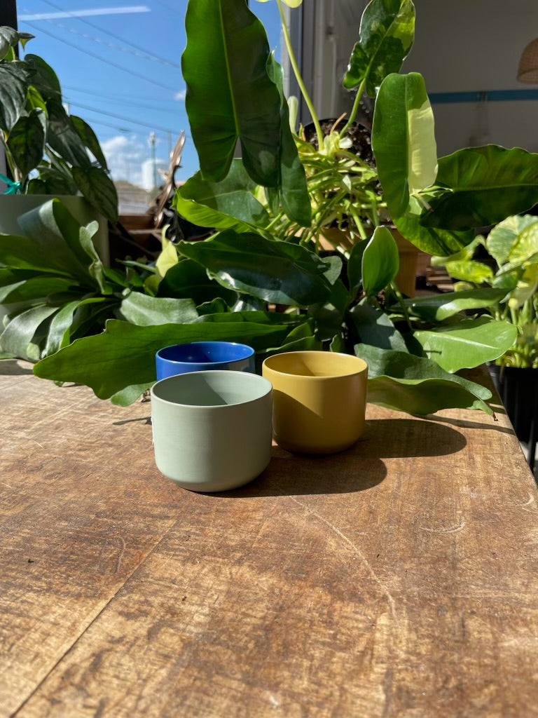 Kendall Pot