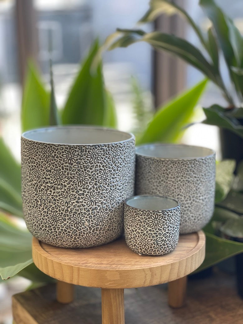 Millie Pot