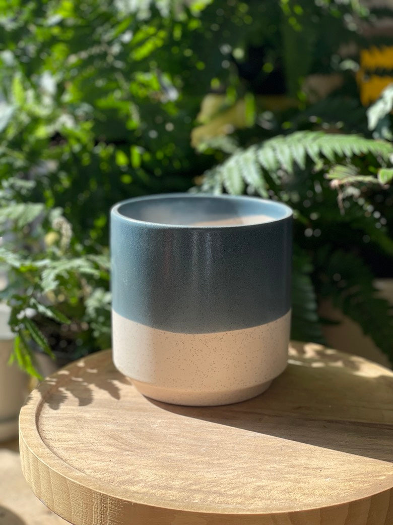 Miguel Pot