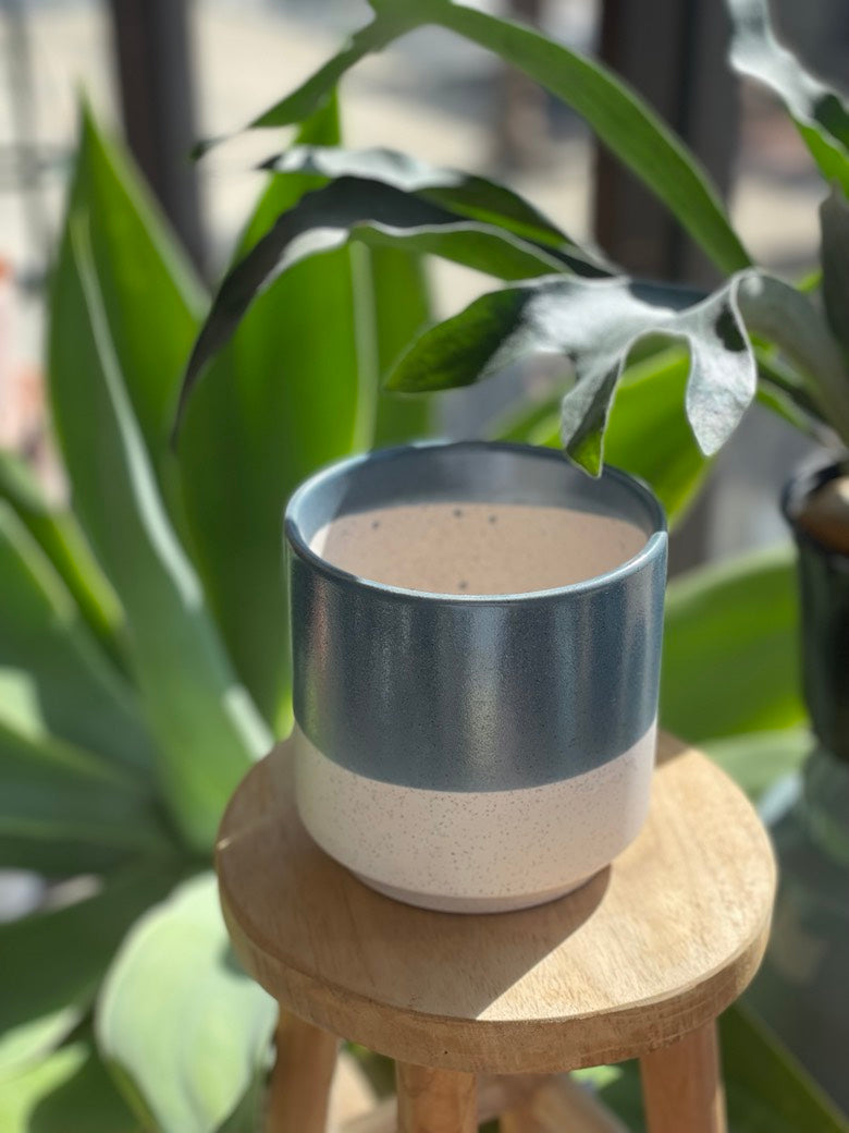 Miguel Pot