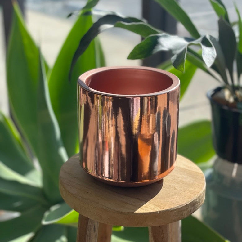 Rodeo Pot