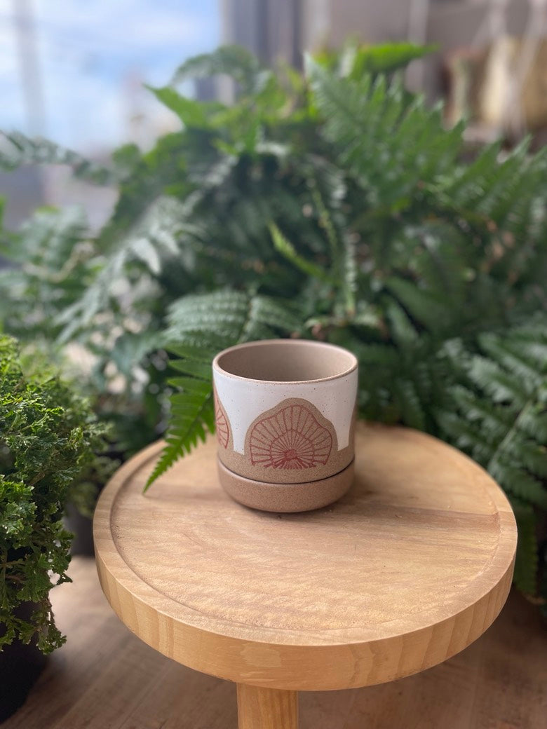 Protea Pot w/ Saucer