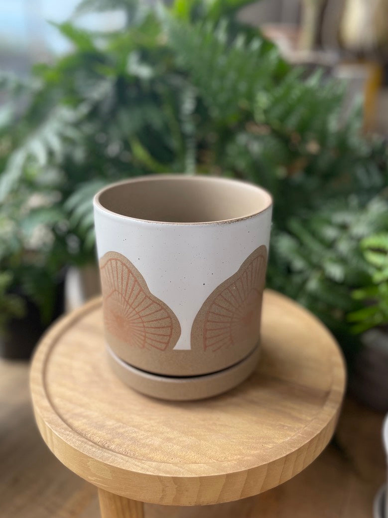 Protea Pot w/ Saucer